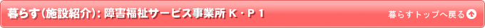 炷({ݏЉ)FQT[rXƏ KEP 1